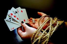 Вход на зеркало Casino Cat